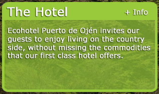 Go to Hotel in Ecohotel Puerto de Ojén